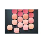Blush poudre teinte bois de rose (145) accord parfait l'oreal paris - la palette