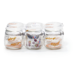 Bocaux super 1 / 2 l d85 mm le parfait - le lot de 6