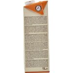 Boisson amande À la vanille carrefour bio - la brique d'1l Boisson amande À la vanille carrefour bio - la brique d'1l