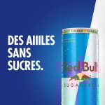 Boisson nergisante sans sucres red bull - le pack de 4 canettes de 25cl