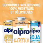 Boisson végétale amande vanille alpro - la brique 1l Boisson végétale amande vanille alpro - la brique 1l