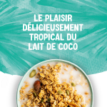 Boisson végétale lait de coco alpro - la brique 1l Boisson végétale lait de coco alpro - la brique 1l