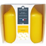 Bougie citronelle ambiances devineau - la barquette de 2 bougies