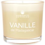 Bougie vanille de madagascar ambiance devineau - la bougie