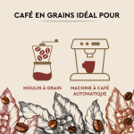 Caf en grains cuve de caractre carte noire - le paquet de 500g