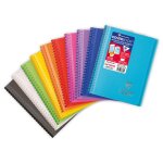 Cahier reliure hoverbook 14, 8x21cm 160 pages petits carreaux assortis clairefontaine - le cahier en ...