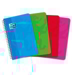 Carnet color life - 11 x 17 cm - 100 pages - petits carreaux oxford - le carnet en coloris alatoire