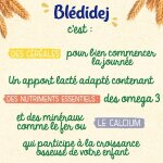Crales bb ds 6 mois saveur vanille bldidej bledina - la bote de 4 briques de 250ml