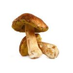 Champignon cpe vrac - les 300g