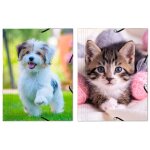 Chemise  lastiques 3 rabats - 24 x 32 cm - en carton animaux domestiques - la chemise en modle alatoire ...