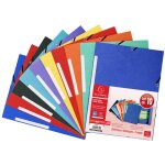 Chemise � �lastiques 3 rabats lustr�e - 24 x 32 cm - en carton exacompta - le lot de 10 chemises