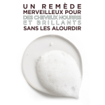Cheveux secs ternes huiles d'argan et camelia ultra doux garnier - le flacon de 600ml