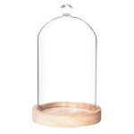 Cloche en verre transparent avec socle blois atmosphera - l'unit