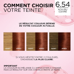Coloration permanente 6. 54 blond foncé acajou cuivré soin triple action excellence l'oreal paris - la ... Coloration permanente 6. 54 blond foncé acajou cuivré soin triple action excellence l'oreal paris - la ...