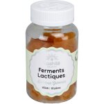 Alsa - Ferments Lactiques - boîte de 4 sachets de 2g