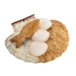 Coquille saint jacques  la normande bigard - la barquette de 180g