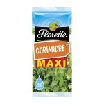 Coriandre frache florette - la barquette de 30g