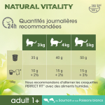 Croquettes pour chat adulte st�rilis� saumon perfect fit - le sac de 1kg