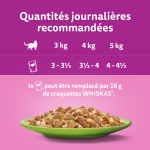 Croquettes pour chat en gele 4 varits whiskas - la boite de 1, 02kg