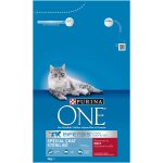 Croquettes pour chat adulte strilis boeuf bifensis one - . e sac de 3kg