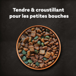 Croquettes pour petit chien adulte au b?uf  la volaille aux lentilles et aux cesar - la boite de 1, ...