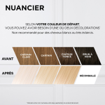 Dcoloration sans ammoniaque patine absolu platinium l'oreal paris - la bote
