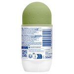 D�odorant bille fresh efficacy bamboo extract bio sanex - le roll - on