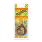 Diffuseur collier vanille carlinea - le diffuseur