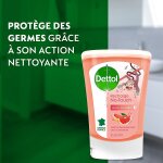 Savon liquide mains action anti - bactérienne parfum citron dettol - le kit et la recharge de 250ml Savon liquide mains action anti - bactérienne parfum citron dettol - le kit et la recharge de 250ml