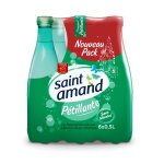 Eau minrale naturelle gazeuse st amand - le pack de 6 bouteilles de 50cl