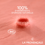 Blush  joues teinte rose faence (02) lumire d'ocres bio la provencale - la palette