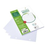 Fiche bristol 14, 8 cm x 21 cm perfore blanche - petits carreaux exacompta - le bloc de 50 fiches