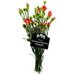 Fleurs mini - ?illets, coloris assortis carrefour - le bouquet de 10 fleurs