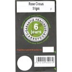 Fleurs roses circus - le bouquet de 9 roses