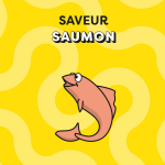 Friandises pour chat adulte cr�meuse saumon catisfactions - la bo�te de 4