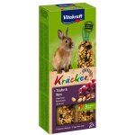 Friandise baguettes pour lapin nain raisin noix vitakraft - la boite de 2 barres Friandise baguettes pour lapin nain raisin noix vitakraft - la boite de 2 barres
