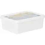 Glace en bac vanille simpl - le bac de 500g