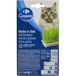 Herbe  chats carrefour - la boite de 150g