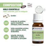 Huile essentielle de giroflier bio pranarom - le flacon de 10ml