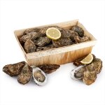 Hutres arcachon n2 - la bourriche de 24 hutres