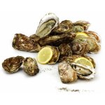 Huitres fines de claires marennes ol�ron n�3 ouverture facile - la bourriche de 24 hu�tres