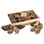Hu�tres fines et creuses n�3 - la bourriche de 24 hu�tres
