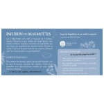 Infusion des marmottes les 2 marmottes - la boite de 30 sachets - 46g