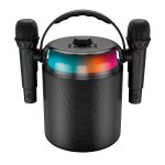 Karaok sans fil 2 micros koolstar