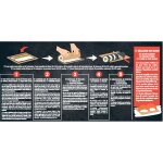 Kit maki sushi carrefour sensation - la boite de 373g