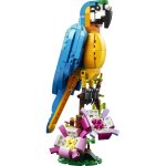 Lego creator le perroquet exotique 31136 lego - la bote