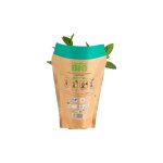 Menthe bio en pot - le pot