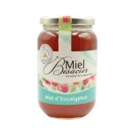 Miel de chataignier eucalyptus miel besacier - le pot de 500g