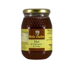 Miel de chtaignier liquide miel chailan - le pot de 500g