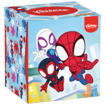 Mouchoirs doux et resistant fsc kleenex - la boîte de 48 mouchoirs Mouchoirs doux et resistant fsc kleenex - la boîte de 48 mouchoirs